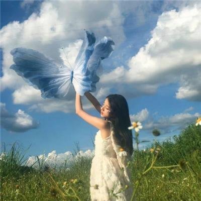 伪装大师2：完美骗局